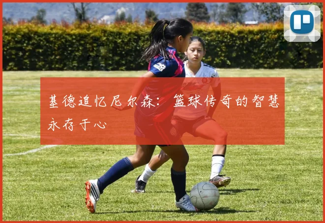 基德追忆尼尔森：篮球传奇的智慧永存于心